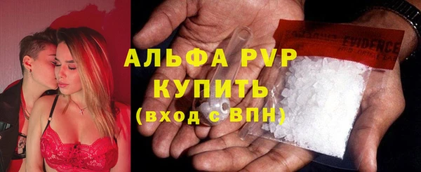 прущие грибы Зерноград