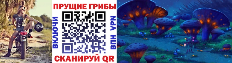 Псилоцибиновые грибы мицелий  Купить  Кашин 